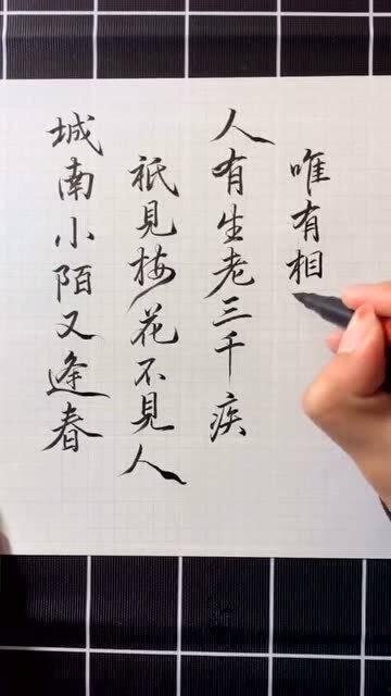 唯有相思不可医,揭秘情感治愈的奥秘